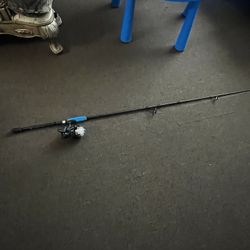 Fishing Rod