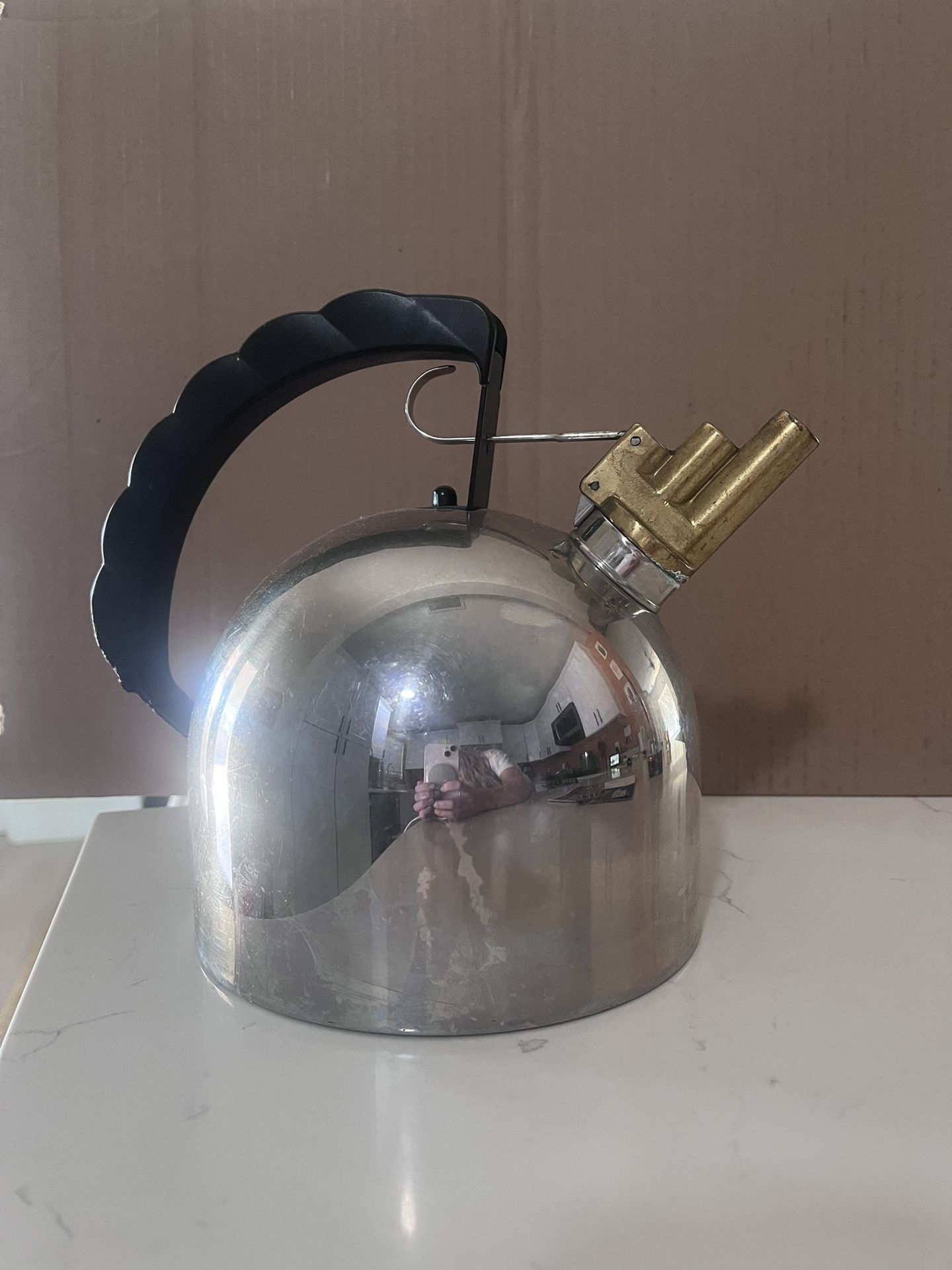 Vintage Stainless Tea Kettle
