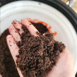 Pure Worm Castings-Highly Nutritious For Plants!