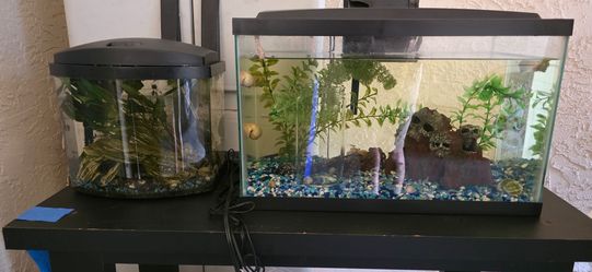 Two small fish tanks