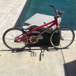 BMX Bike Kids