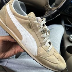 Pumas
