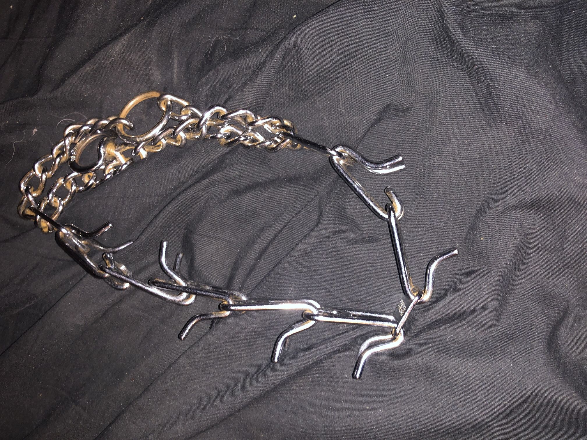 spiked dog collar