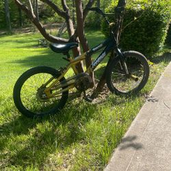 Kids Bike