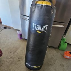 Everlast Punching Bag. 