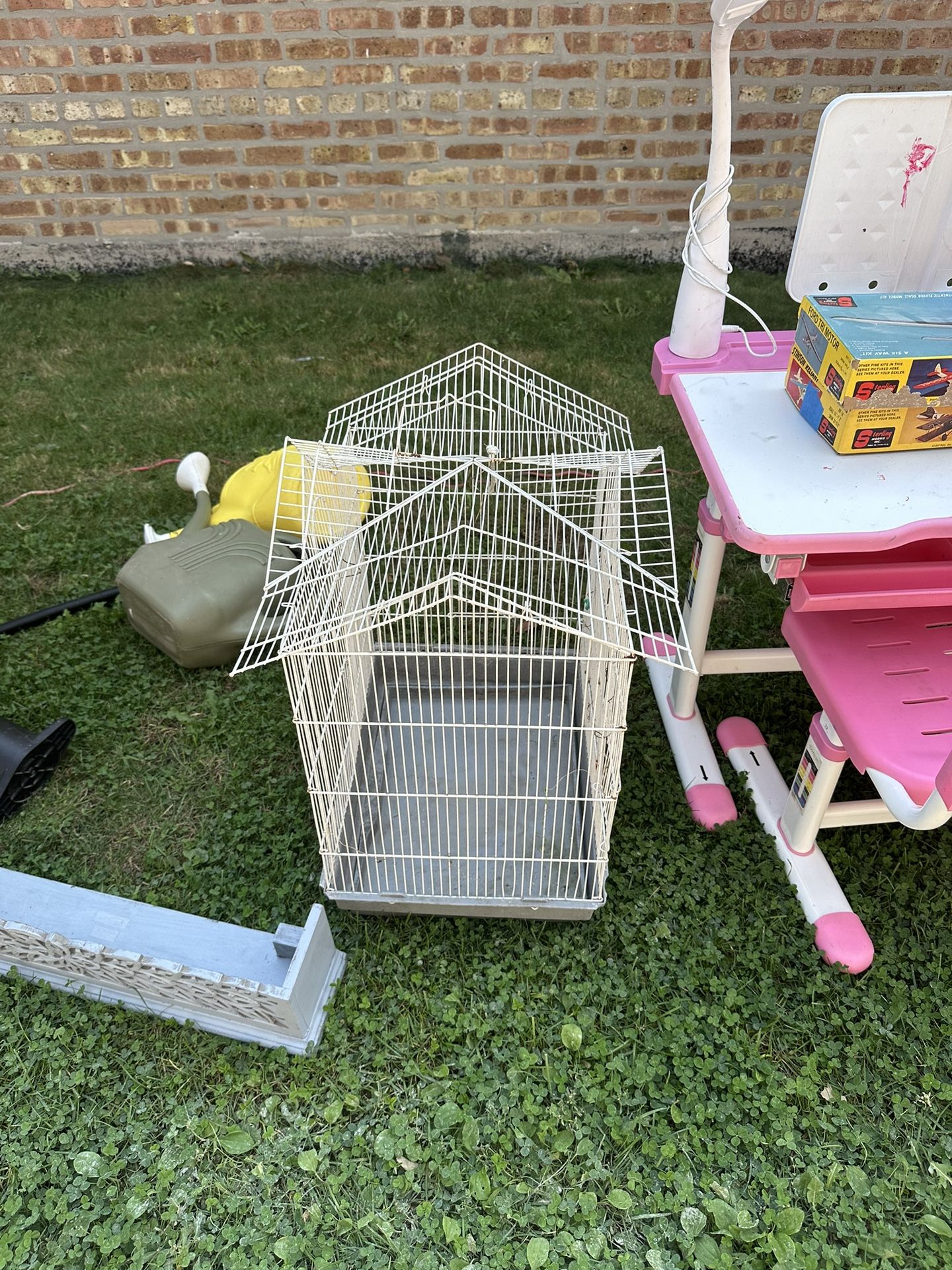 Birds Cage