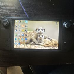Steam Deck LCD 512gb And Dock