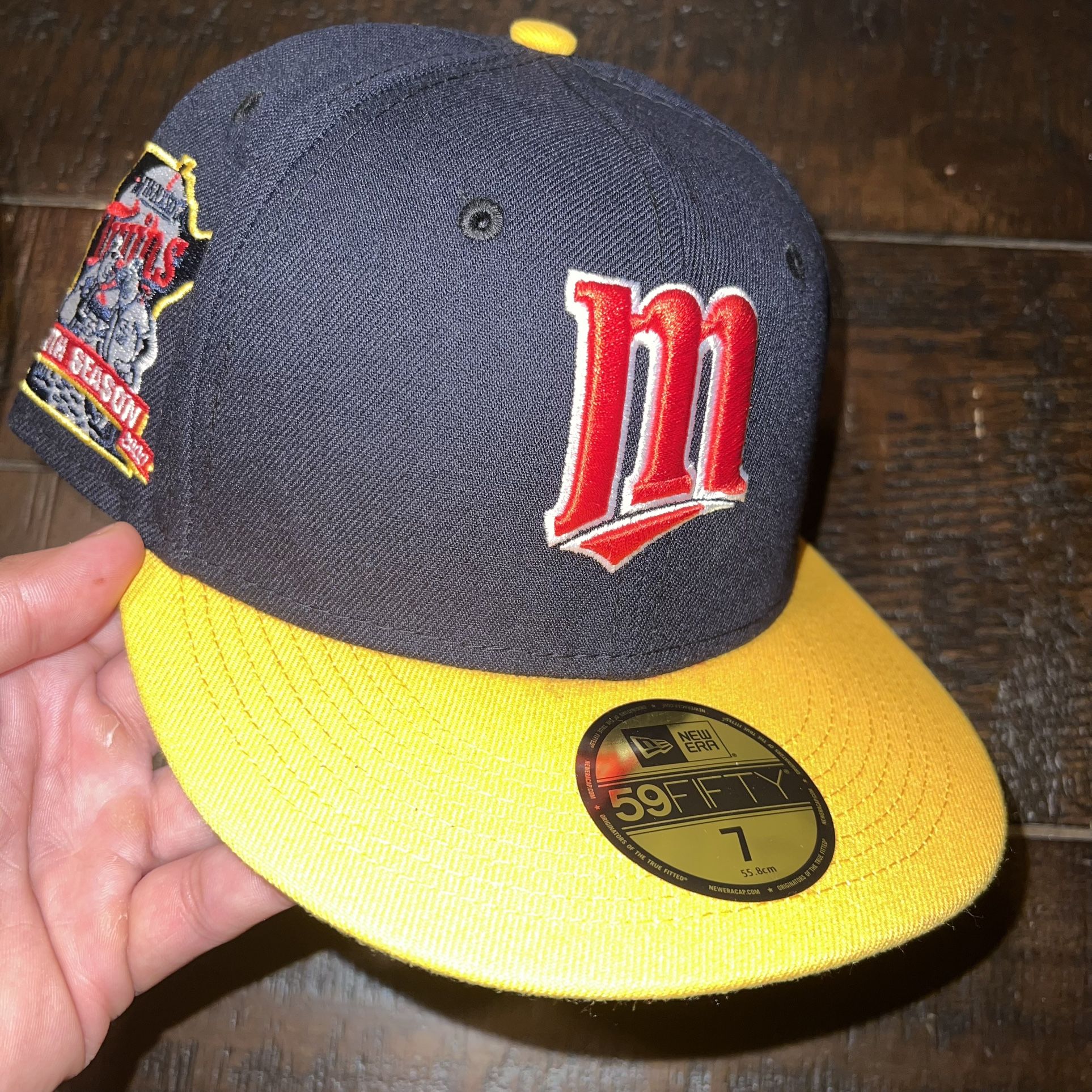 Minnesota Twins Hat