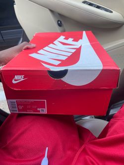 dunks dark blue and red 9.5 men
