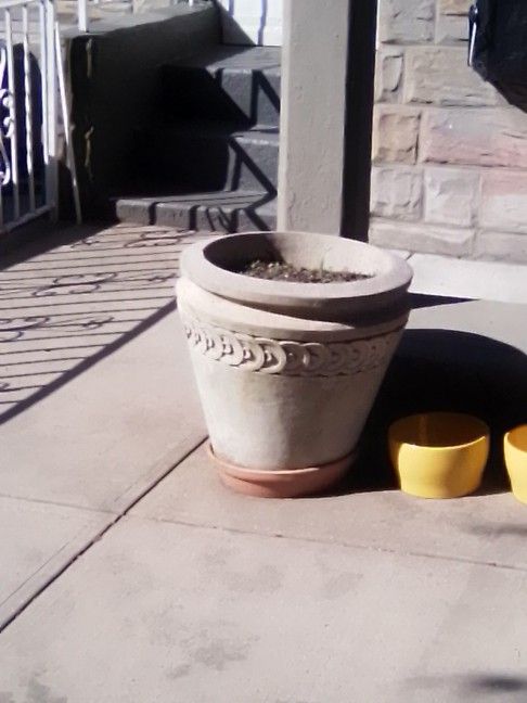 Cement Flower Pots