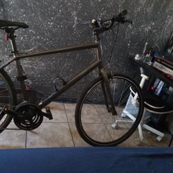 Specialized Alibi