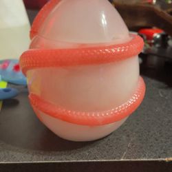 Snake Eggs 