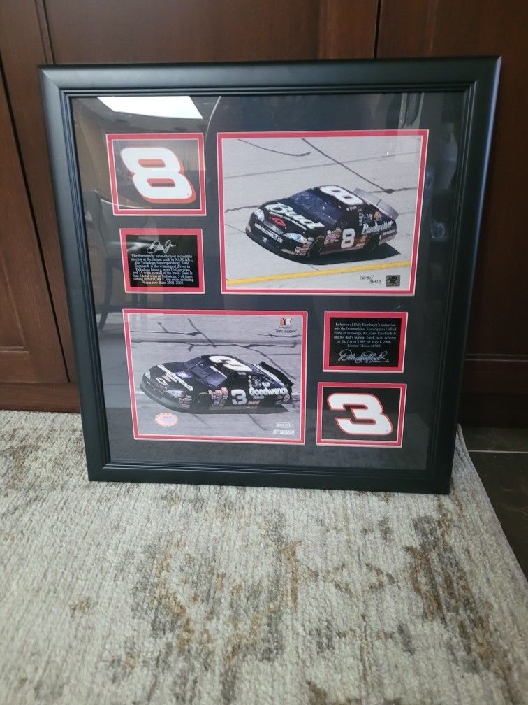 DALE EARNHARDT JR. # 8 & # 3 Nascar Limited Edition 8003