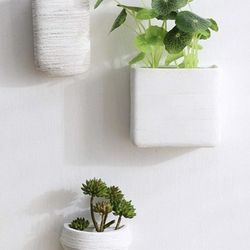 Set of 3 Wall Planters