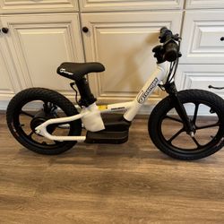 Greenger saddleback electric bike NEW