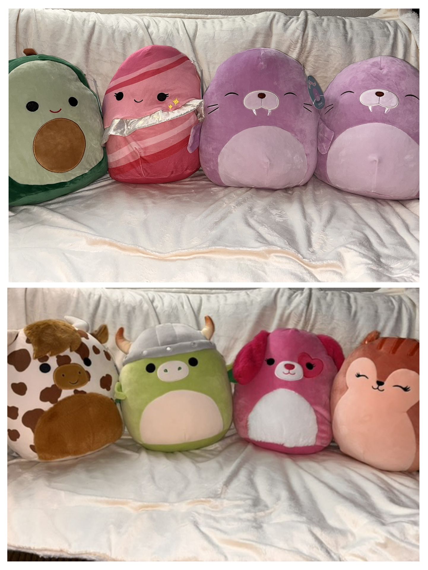 NWT 12” Squishmallows