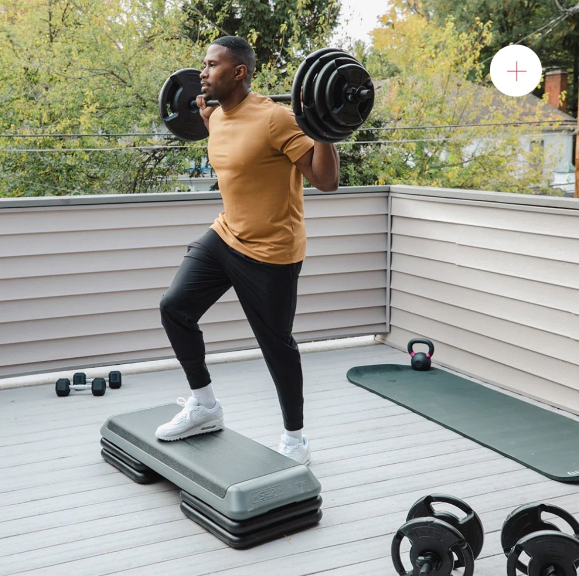 Home Gym - The Step up Aerobic weight bench