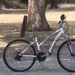 Schwinn Ranger