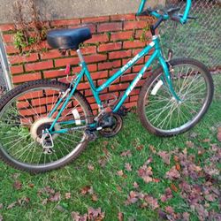 Women's Magna Mountain Tamer Mountain Bike