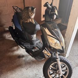 2022 Tao Tao R Scooter