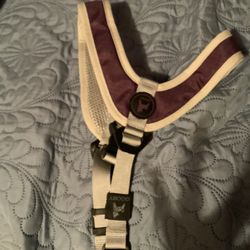 Dog Harness