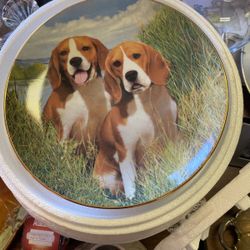 Beagle plates
