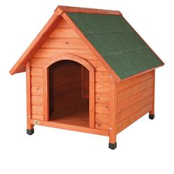 Dog house