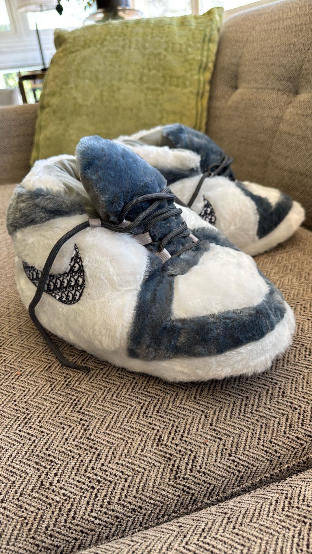 Air Jordan Dior Slippers