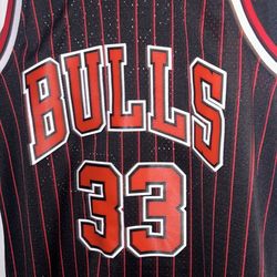 Addidas Pippen Bulls Hardwood Classics Jersey