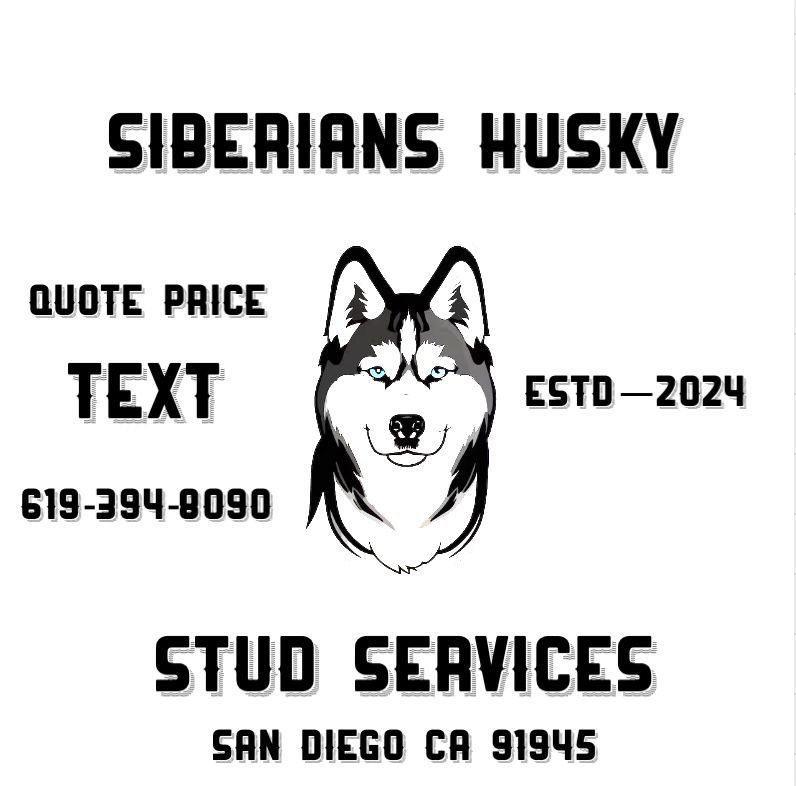 San Diego’s premier Husky Service 🐾
