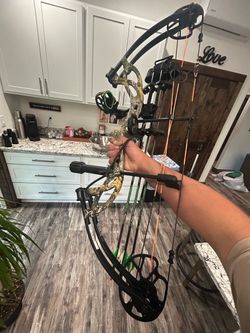 Bear compound bow
