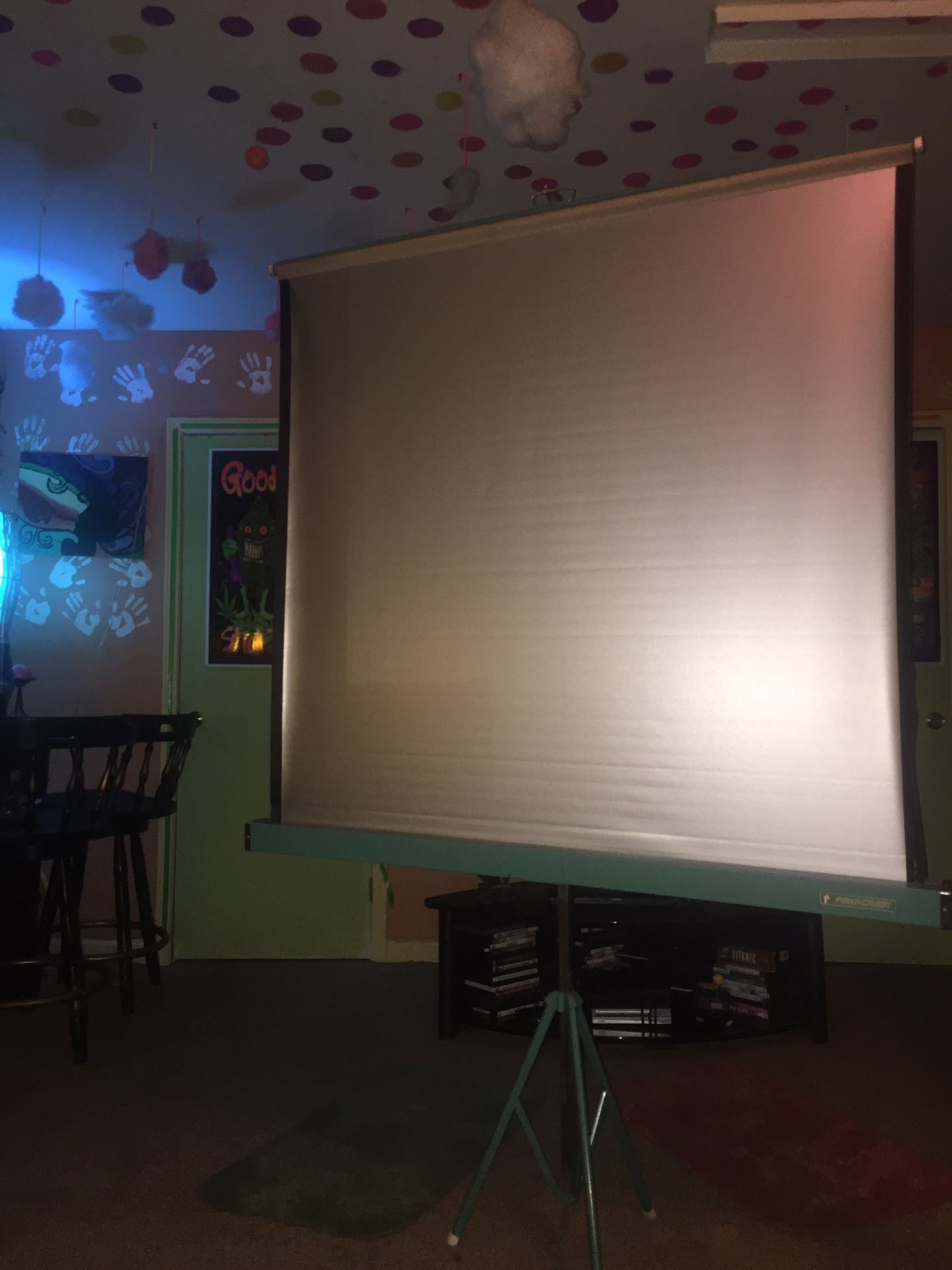 50X50 Portable with Legs Projection screen made by Penncrest