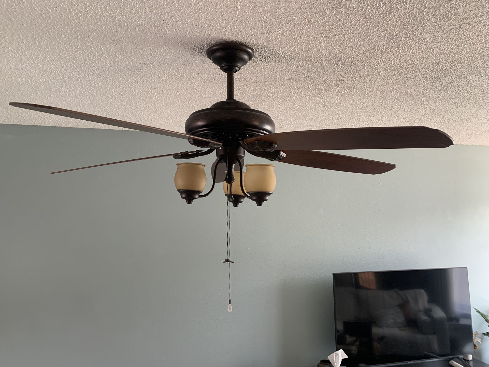 Ceiling Fan And Light