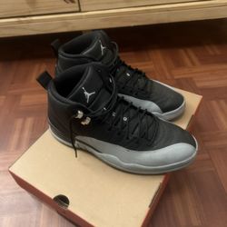 Air Jordan Retro 12