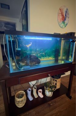 55 gallon top-fin aquarium