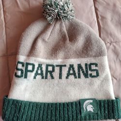 Michigan State Skull Cap Nike