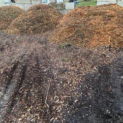 Free Wood Chips Midland Summit - Puyallup Tacoma