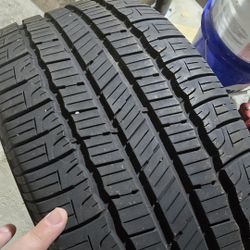 Goodyear Reliant Tire 