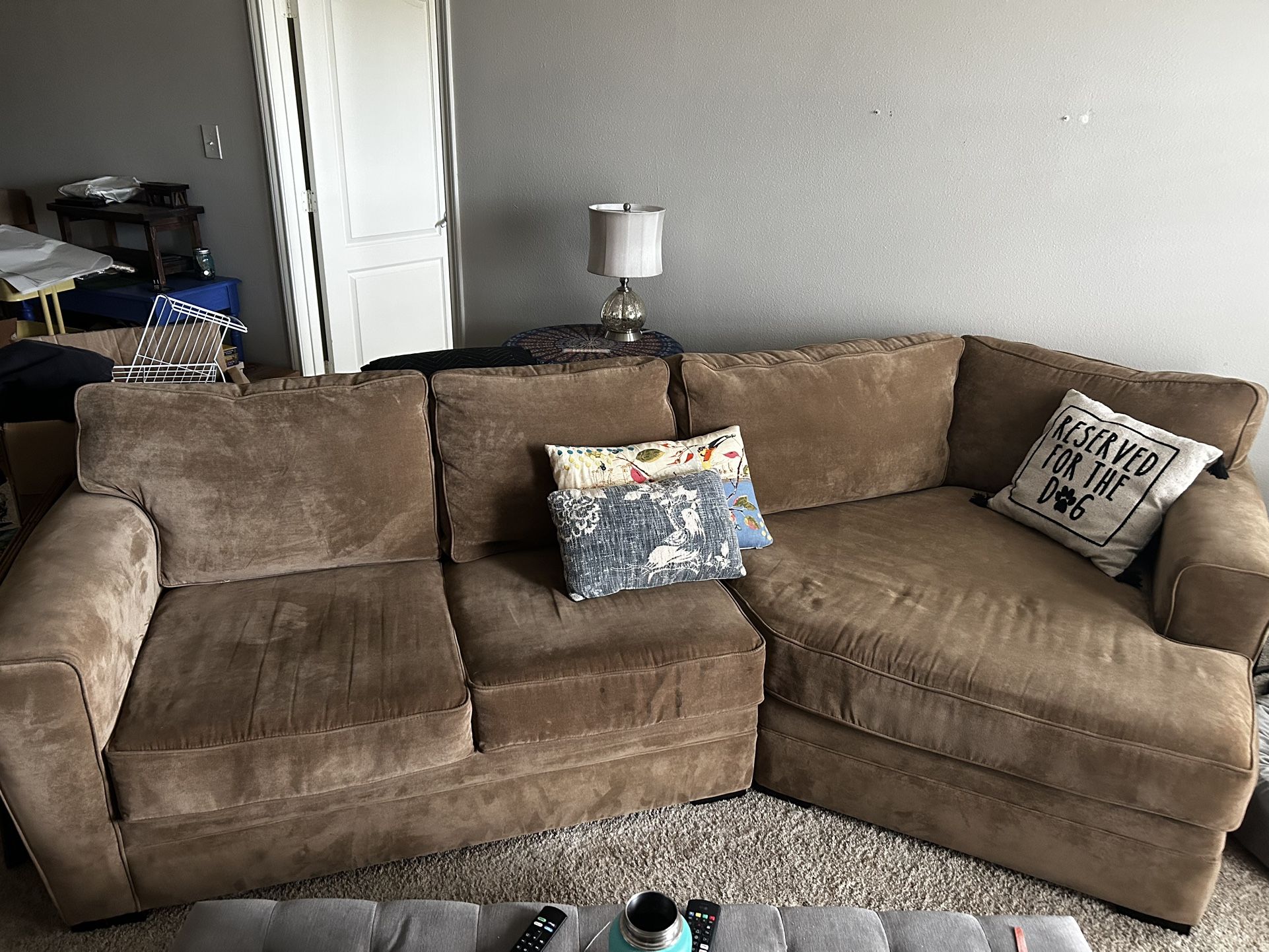 Pet-Friendly Cuddler Couch