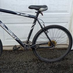 Diamond Back Mountain Bike 