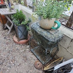 Sale Sale Sale ☘️🌵 🌲🌴