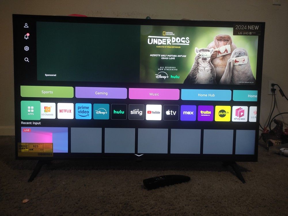 43 Inch LG TV