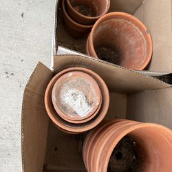 Terra Cotta Pots