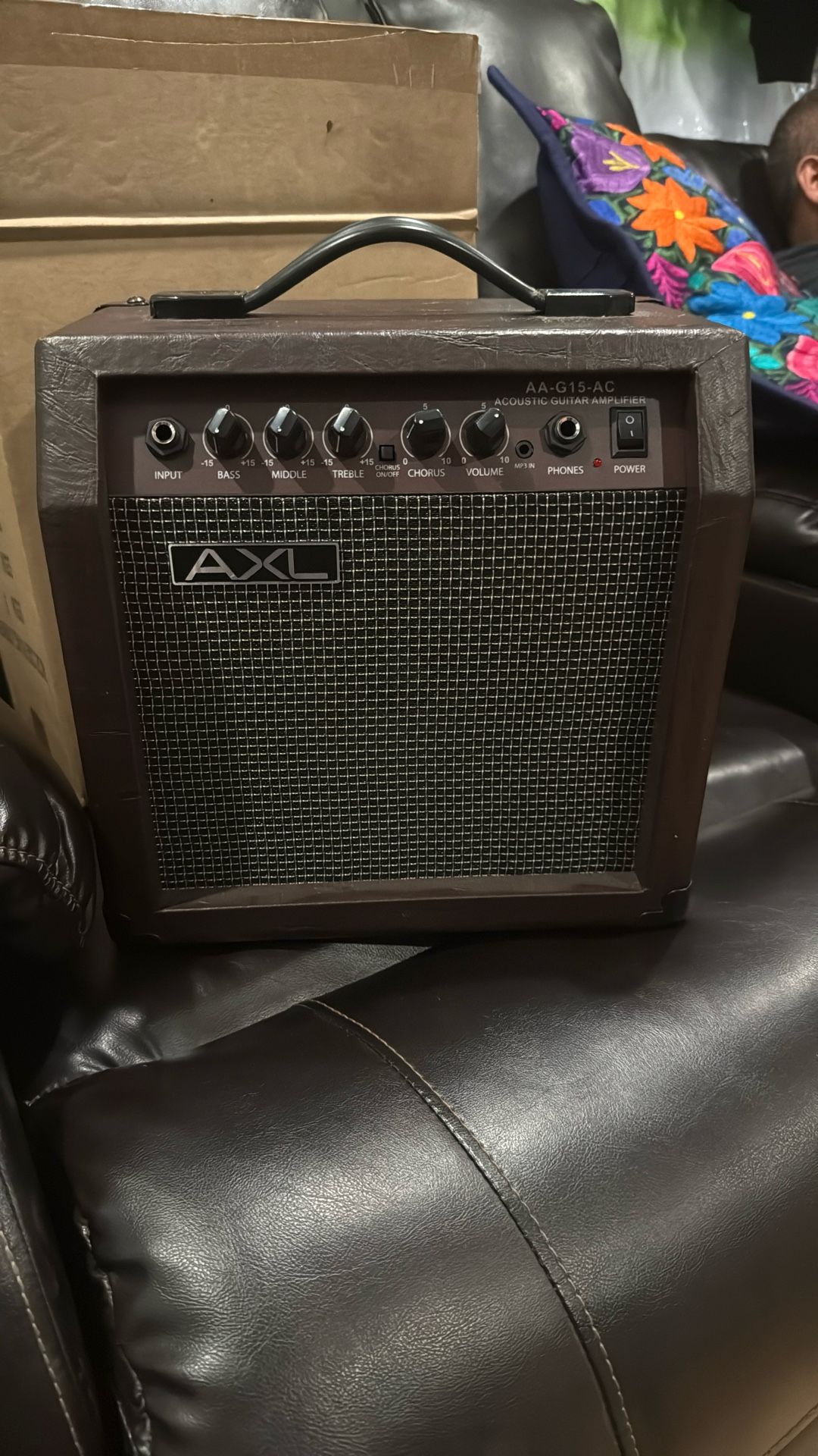 AXL AA-G15-AC Acoustic Amplifier