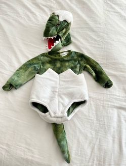 Pottery Barn Kids Dinosaur Costume 0-6 Months