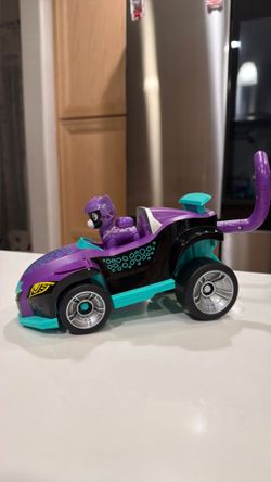Paw patrol Shade cat