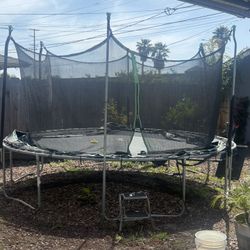 Trampoline 