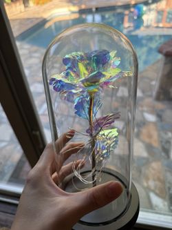Snow White Rose Lights Up