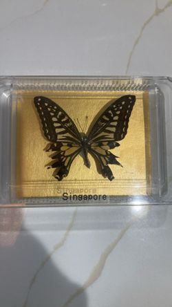 Singaporean Butterfly Good Condition