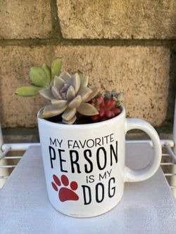 My Favorite Person Is My Dog Succulent Coffee Cup